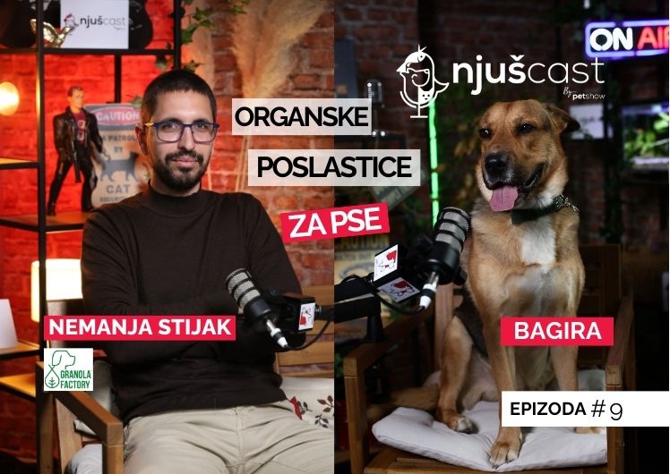 NjušCast: #9