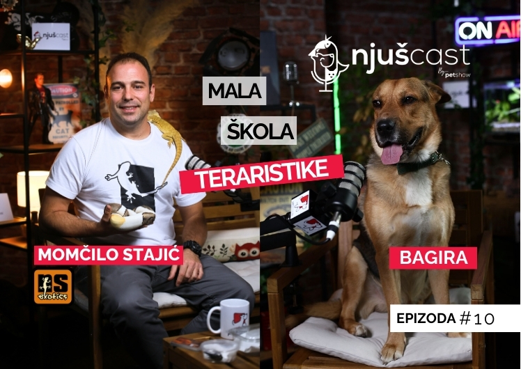 NjušCast: #10