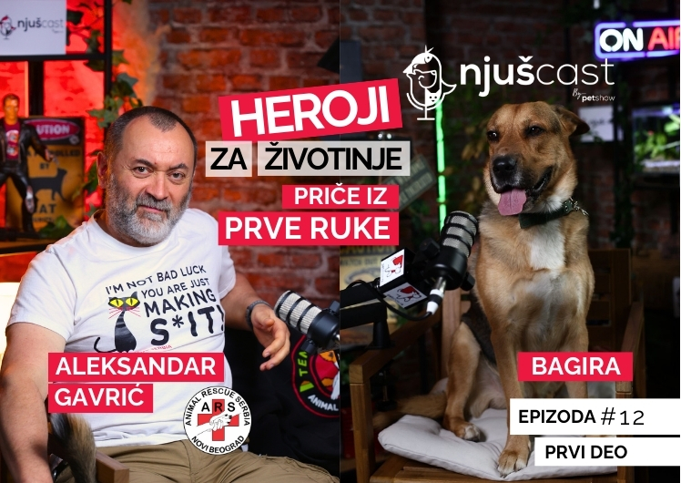 NjušCast: #12
