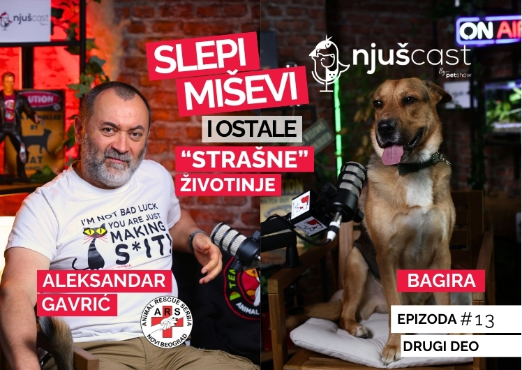 NjušCast: #13