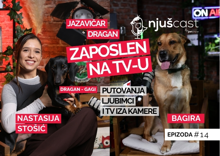 NjušCast: #14