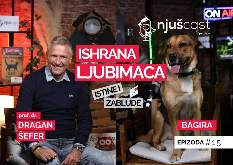 NjušCast: #15