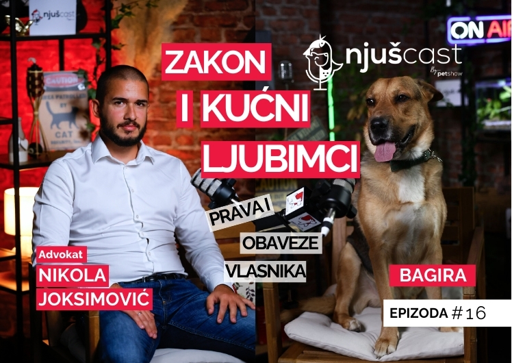 NjušCast: #16