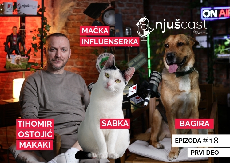 NjušCast: #18