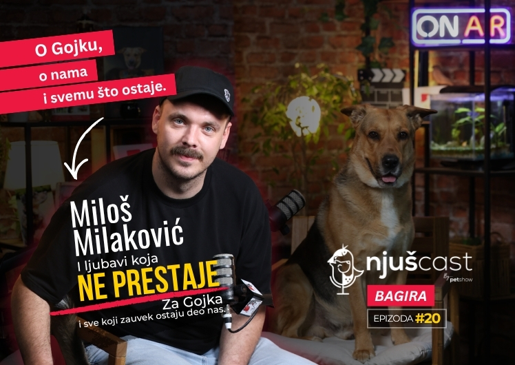 NjušCast: #20