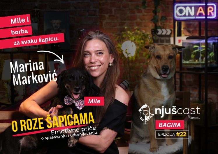 NjušCast: #22