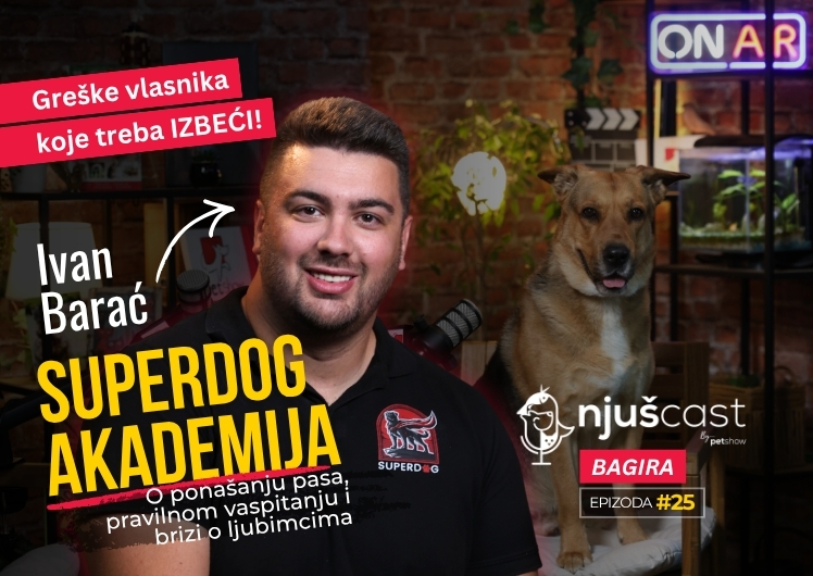 NjušCast: #25