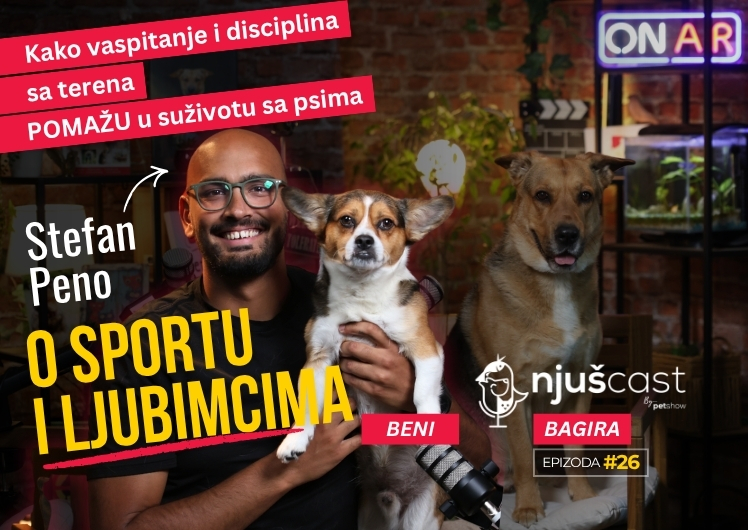 NjušCast: #26