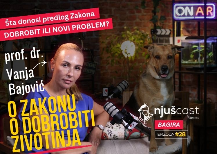 NjušCast: #28