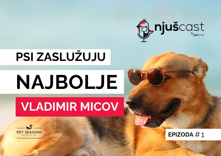 NjušCast: #1