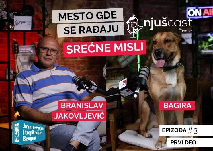 NjušCast: #4