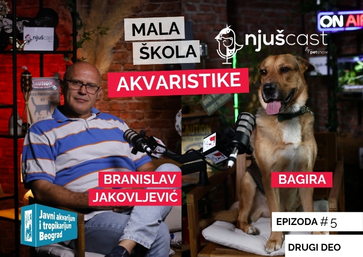 NjušCast: #5
