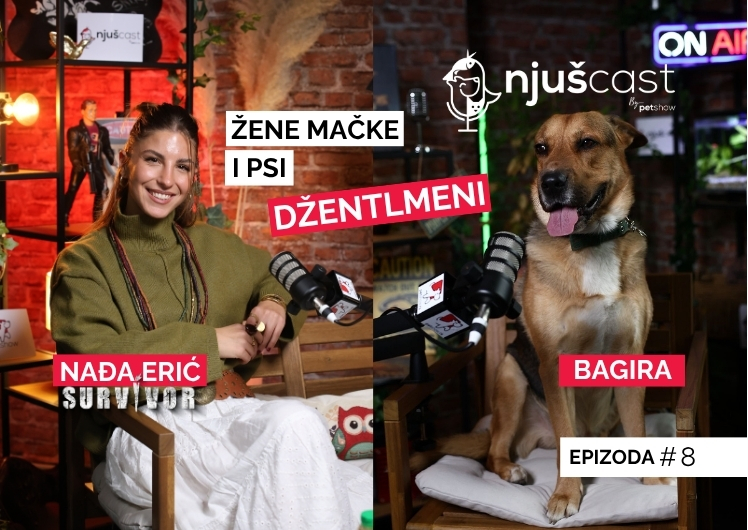 NjušCast: #8